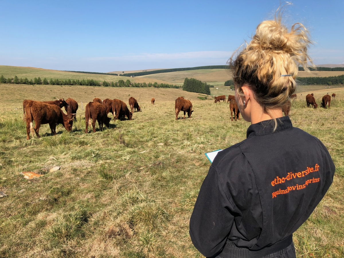 ​​​​Pauline Garcia