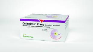 Cefaseptin 300 mg comprimés pour chiens