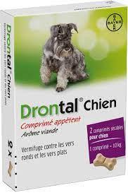 Drontal chien